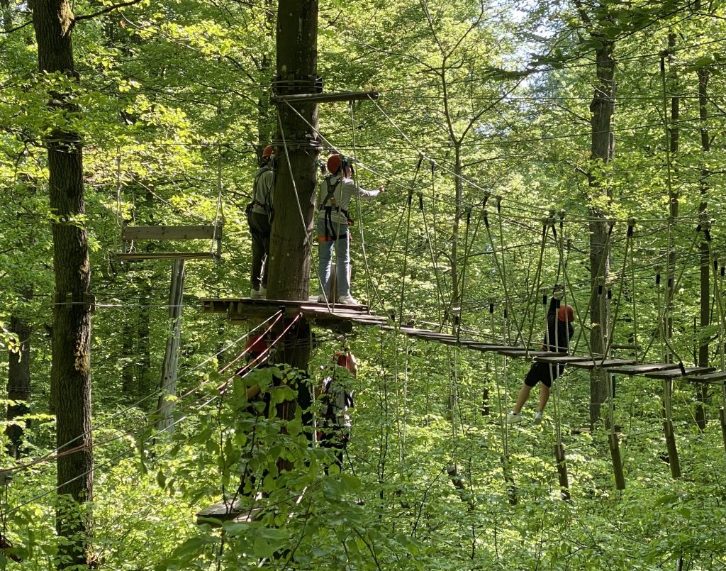 Teilnehmer der 8. Klassen am Kletterwaldtag auf einem Parcours.